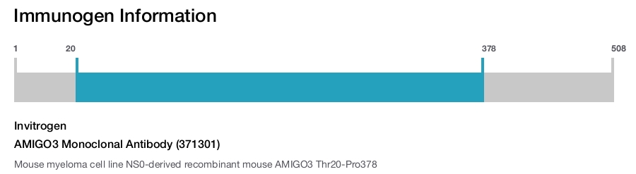 AMIGO3 Monoclonal Antibody (371301)