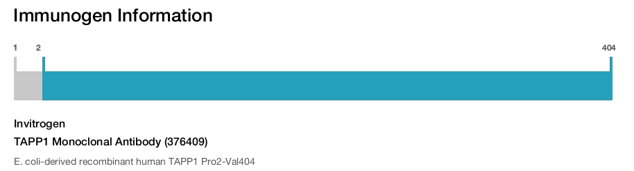 TAPP1 Monoclonal Antibody (376409)