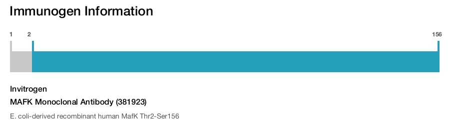 MAFK Monoclonal Antibody (381923)