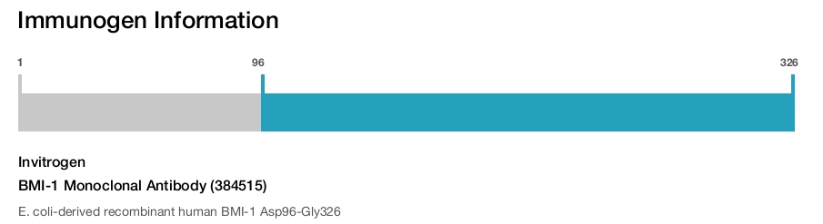 BMI-1 Monoclonal Antibody (384515)