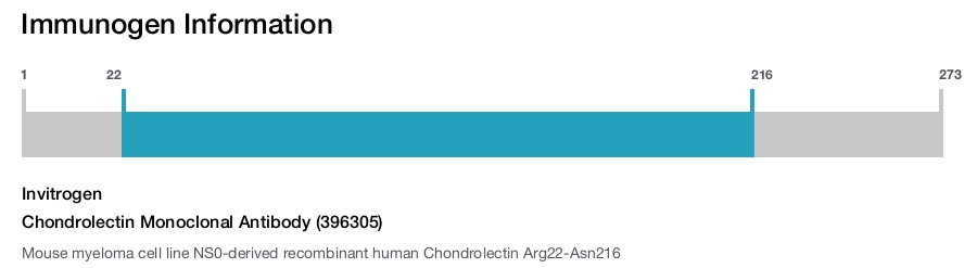 Chondrolectin Monoclonal Antibody (396305)