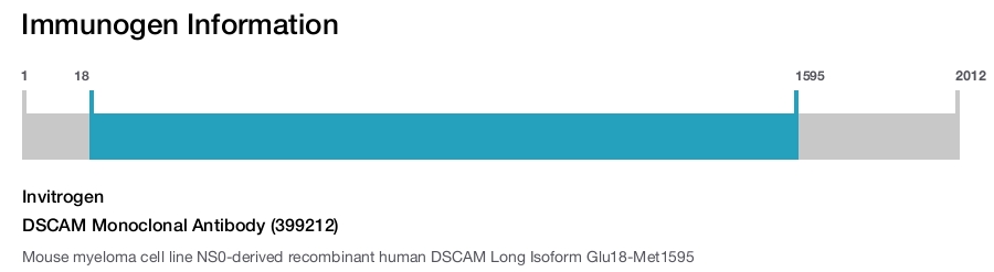 DSCAM Monoclonal Antibody (399212)