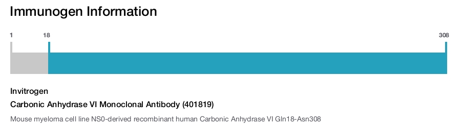 Carbonic Anhydrase VI Monoclonal Antibody (401819)