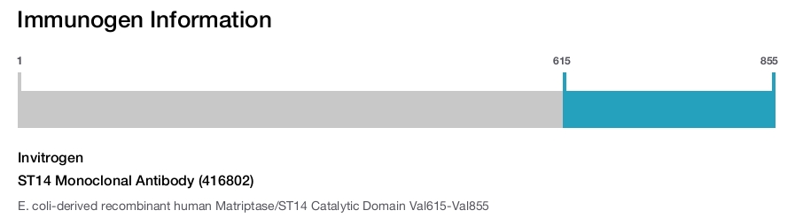 ST14 Monoclonal Antibody (416802)