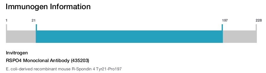 RSPO4 Monoclonal Antibody (435203)