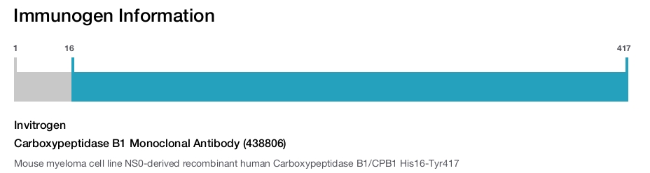 Carboxypeptidase B1 Monoclonal Antibody (438806)