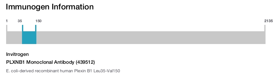 PLXNB1 Monoclonal Antibody (439512)