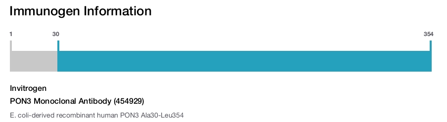 PON3 Monoclonal Antibody (454929)