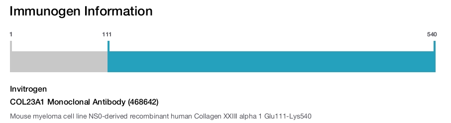 COL23A1 Monoclonal Antibody (468642)