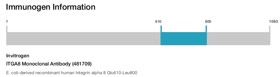 ITGA8 Monoclonal Antibody (481709)