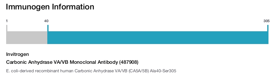 Carbonic Anhydrase VA/VB Monoclonal Antibody (487908)
