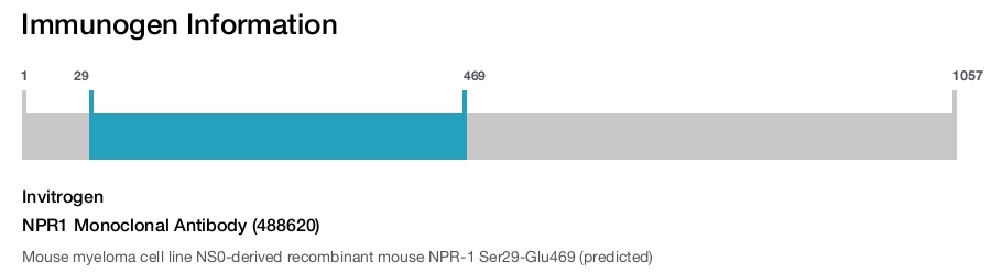 NPR1 Monoclonal Antibody (488620)