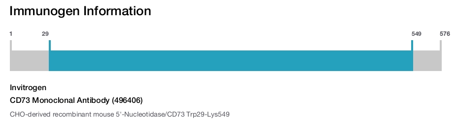 CD73 Monoclonal Antibody (496406)