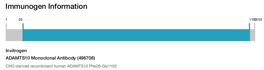 ADAMTS10 Monoclonal Antibody (496708)