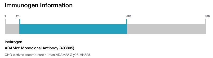 ADAM22 Monoclonal Antibody (498805)