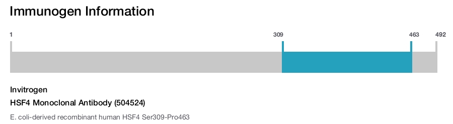 HSF4 Monoclonal Antibody (504524)