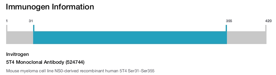 5T4 Monoclonal Antibody (524744)