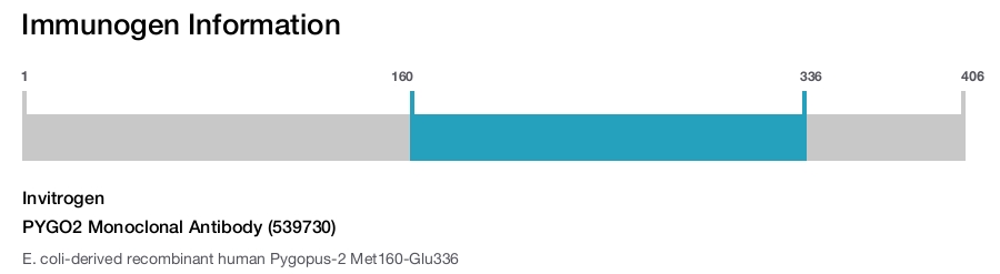 PYGO2 Monoclonal Antibody (539730)