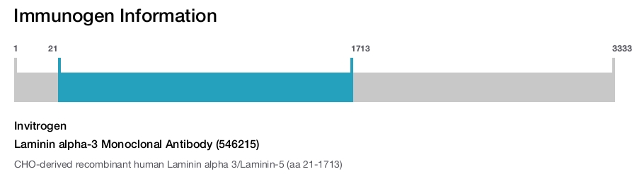 Laminin alpha-3 Monoclonal Antibody (546215)