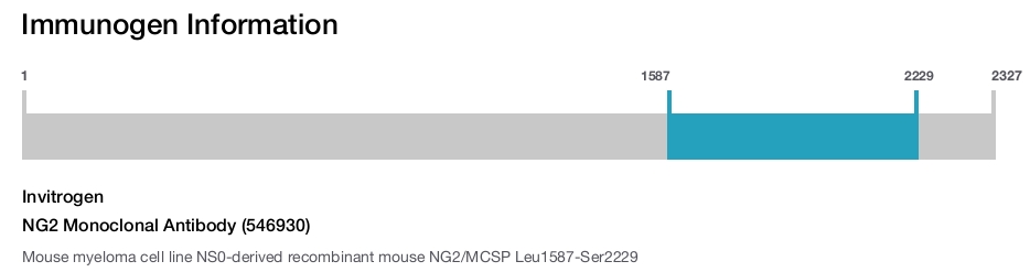NG2 Monoclonal Antibody (546930)