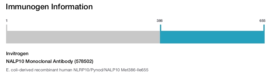 NALP10 Monoclonal Antibody (578502)