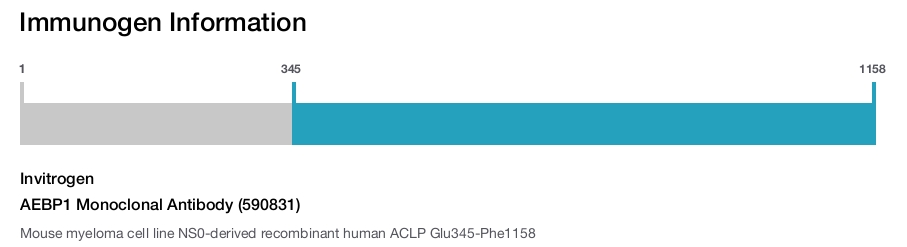 AEBP1 Monoclonal Antibody (590831)