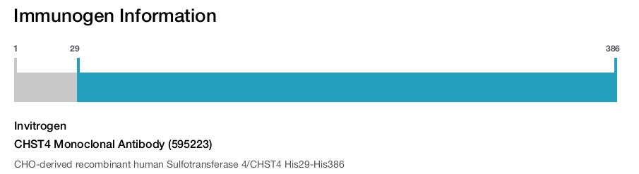 CHST4 Monoclonal Antibody (595223)
