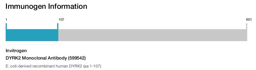 DYRK2 Monoclonal Antibody (599542)
