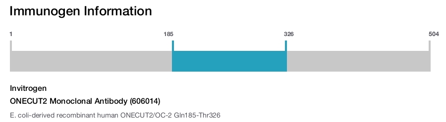 ONECUT2 Monoclonal Antibody (606014)