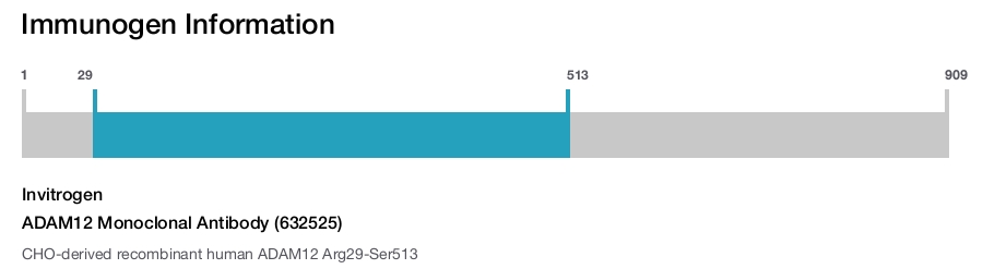 ADAM12 Monoclonal Antibody (632525)