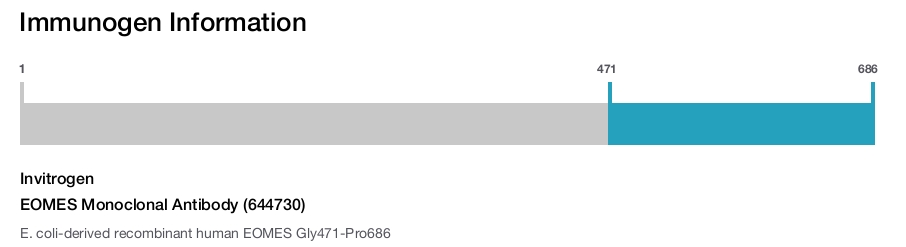 EOMES Monoclonal Antibody (644730)