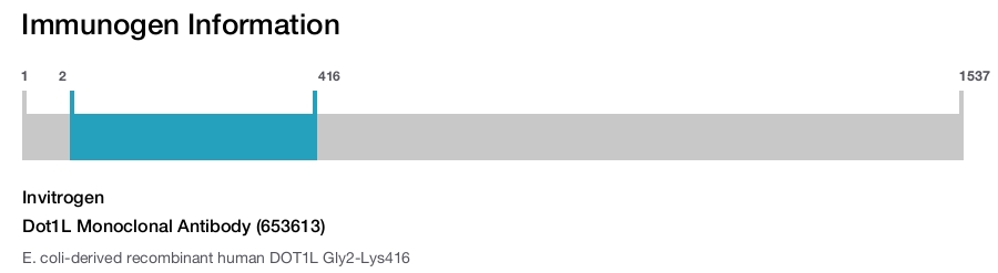 Dot1L Monoclonal Antibody (653613)