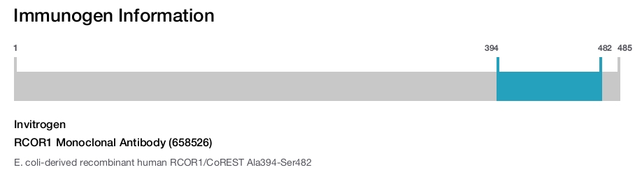 RCOR1 Monoclonal Antibody (658526)