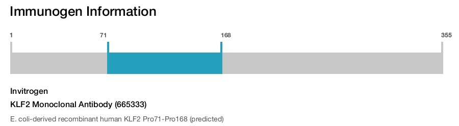 KLF2 Monoclonal Antibody (665333)