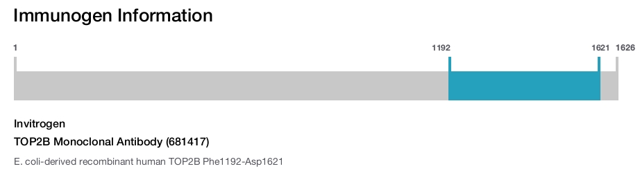 TOP2B Monoclonal Antibody (681417)