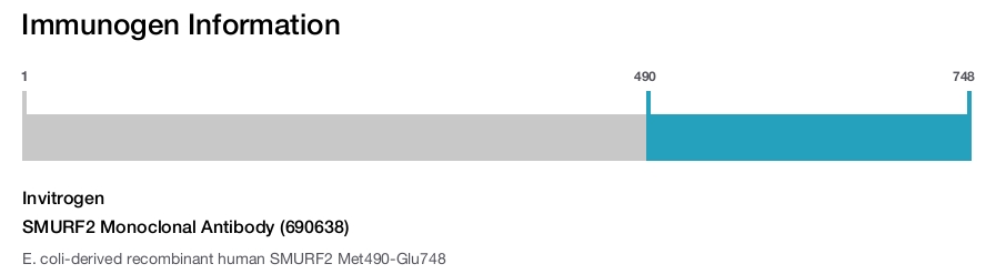 SMURF2 Monoclonal Antibody (690638)