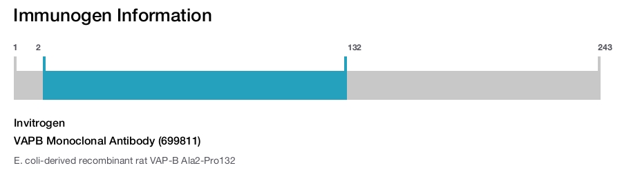 VAPB Monoclonal Antibody (699811)