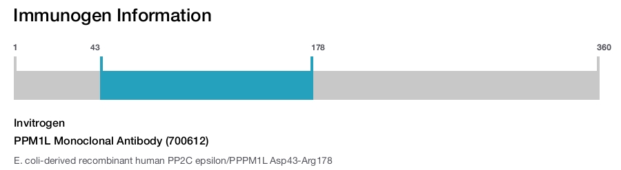PPM1L Monoclonal Antibody (700612)