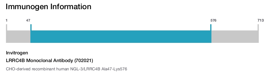 LRRC4B Monoclonal Antibody (702021)