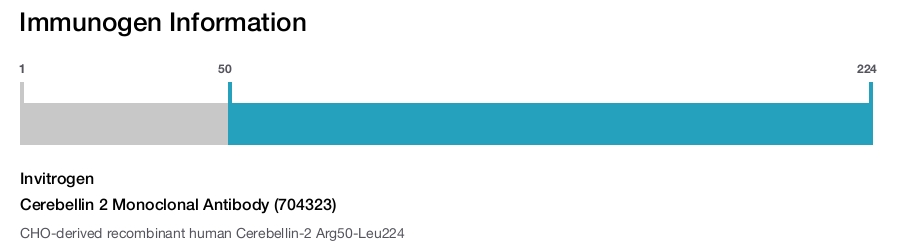 Cerebellin 2 Monoclonal Antibody (704323)