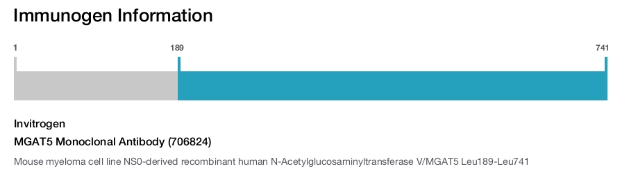 MGAT5 Monoclonal Antibody (706824)