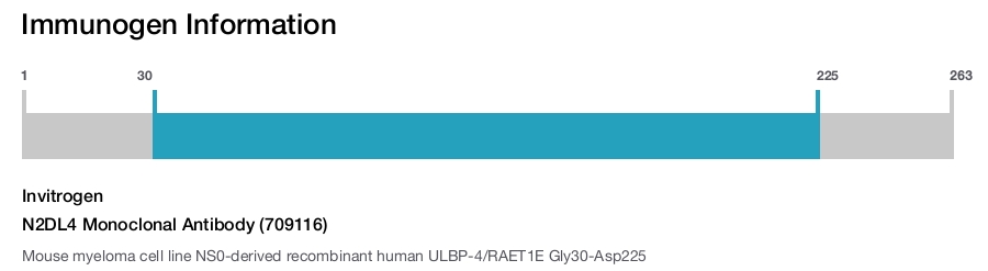 N2DL4 Monoclonal Antibody (709116)
