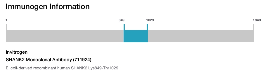 SHANK2 Monoclonal Antibody (711924)