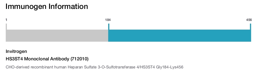 HS3ST4 Monoclonal Antibody (712010)