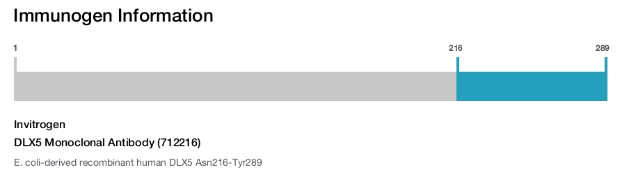 DLX5 Monoclonal Antibody (712216)