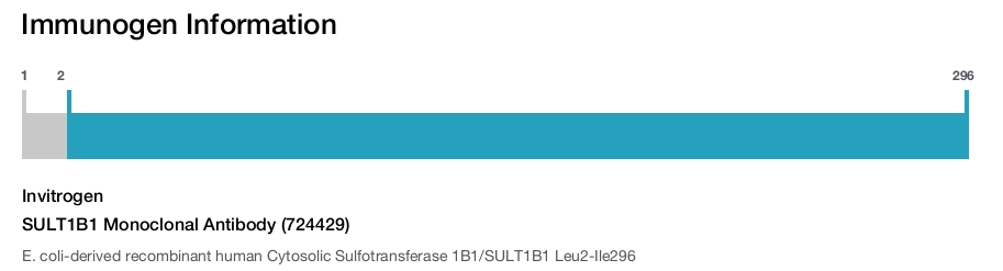 SULT1B1 Monoclonal Antibody (724429)