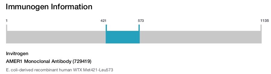 AMER1 Monoclonal Antibody (729419)