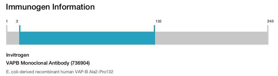 VAPB Monoclonal Antibody (736904)