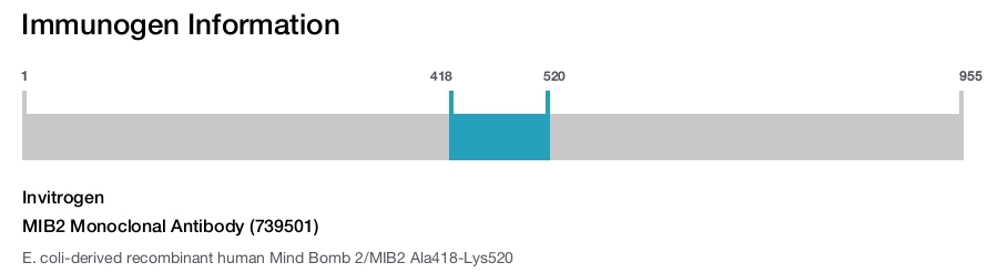 MIB2 Monoclonal Antibody (739501)