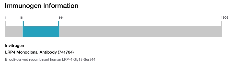 LRP4 Monoclonal Antibody (741704)